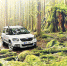 ​ŠKODA Yeti показала наилучшие результаты на тест-драйве - ИА СИА-Пресс