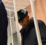Суд вынес решение по делу несостоявшегося угонщика самолета Павла Шаповалова - СургутИнформТВ