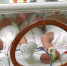 Более 6 тысяч детей родилось в Сургуте в 2019 году, большинство из них мальчики - СургутИнформТВ