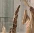 Click to enlarge image p1e2ie7cean1d1o24fko1sem1e384.jpg - Сургутский Художественный Музей
