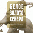 афиша белое золото - Сургутский Художественный Музей