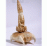 Click to enlarge image p1gi00hq54mrih3h1gk7ldmte4.jpg - Сургутский Художественный Музей