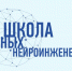 ​Учеников тюменской Школы юных нейроинженеров пригласили на престижную стажировку - ИА СИА-Пресс