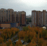 Сургут растет. Где появятся новый школы и детские сады? - ОМЕДИА!