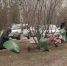 Сургутяне навели порядок на улицах города - ОМЕДИА!