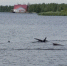 На водохранилище ГРЭС-1 в Сургуте подростки на моторной лодке наехали на мужчину - ОМЕДИА!
