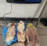 ​В аэропорту Сургута у мигрантов изъяли нелегальные продукты - ИА СИА-Пресс