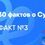 Бессменный руководитель. Еще один материал в серии фактов о Педагогическом - СурГПУ