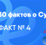 Факт №4. Образование в цифрах - СурГПУ