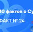 Факт № 24. Модная мастерская «Кардиган» - СурГПУ
