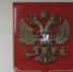 Александр Бастрыкин поручил возбудить дело из-за потасовки на турнире в Сургуте - СургутИнформТВ