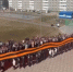 ​80-метровая Георгиевская лента и венский вальс ‒ в школе №9 Сургута отметили 9 Мая - ИА СИА-Пресс