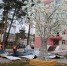 Шквалистым ветром сорвало крышу с родильного дома в Югре - СургутИнформТВ