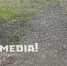 photo - ОМЕДИА!