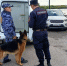 Двое детей пропали в районе парка «За Саймой» в Сургуте - СургутИнформТВ