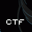 IX Кубок CTF России - СурГПУ