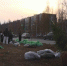 Клен, сирень, пихты: в Сургуте высадили почти 2000 саженцев деревьев - СургутИнформТВ