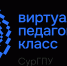 В СурГПУ обсудили организацию и перспективы  Виртуального педагогического класса - СурГПУ