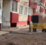 ​Свободный выгул закончился штрафом: в Сургуте хозяйку 15 шпицев привлекли к ответственности - ИА СИА-Пресс