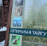 В «Старом Сургуте» появилась новая интерактивная экспозиция «Открывая тайгу» - СургутИнформТВ