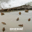 photo - ОМЕДИА!