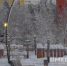 photo - ОМЕДИА!
