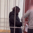 ​Жительницу Сургута отправили в СИЗО за участие в мошенничестве с подростком в Красноярске - ИА СИА-Пресс