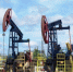 Нефти в России хватит на 62 года — Александр Новак - ИА СИА-Пресс
