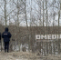 photo - ОМЕДИА!